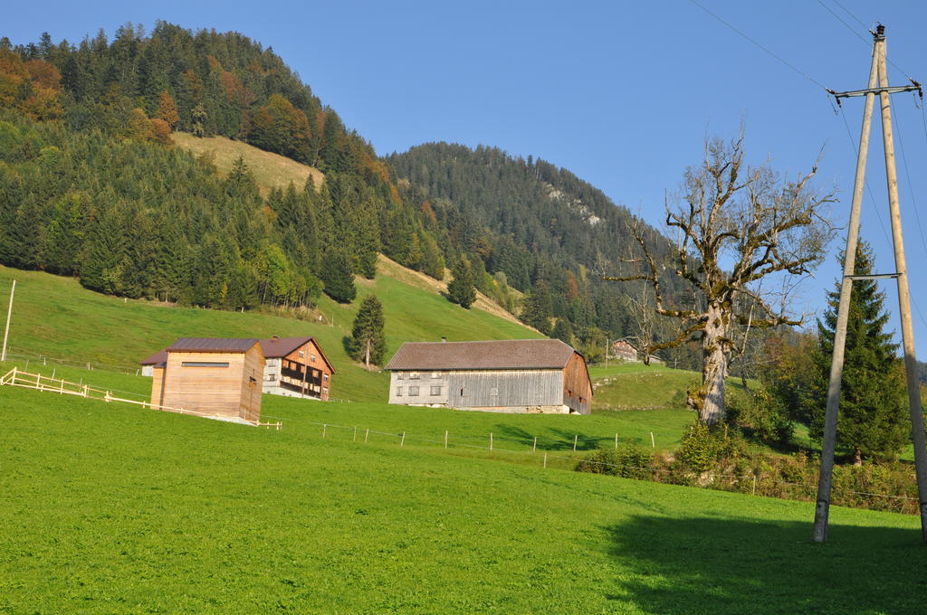 Gaestehaus Graf Bezau Cameră foto